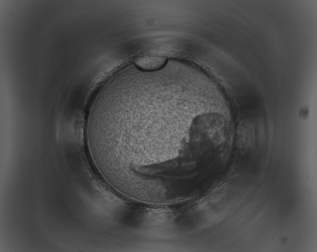 X0000095670446200801151107