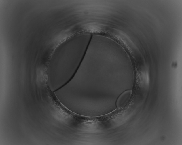 X0000095670447200801151107