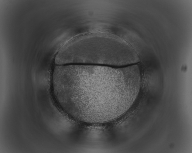 X0000095670448200801151107