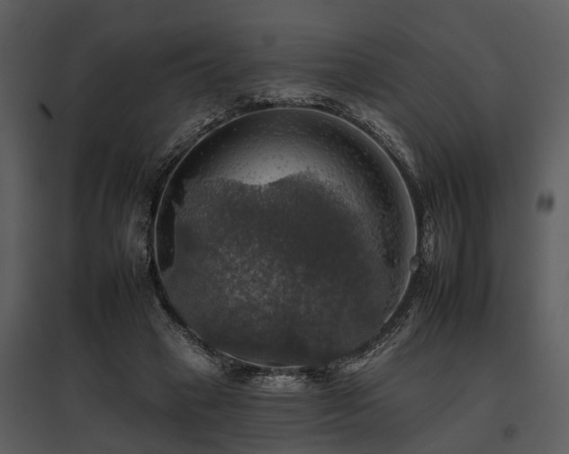 X0000095670449200801151107