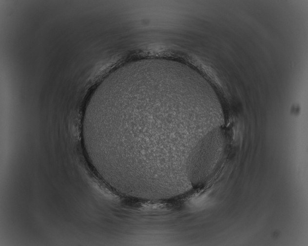 X0000095670450200801151107