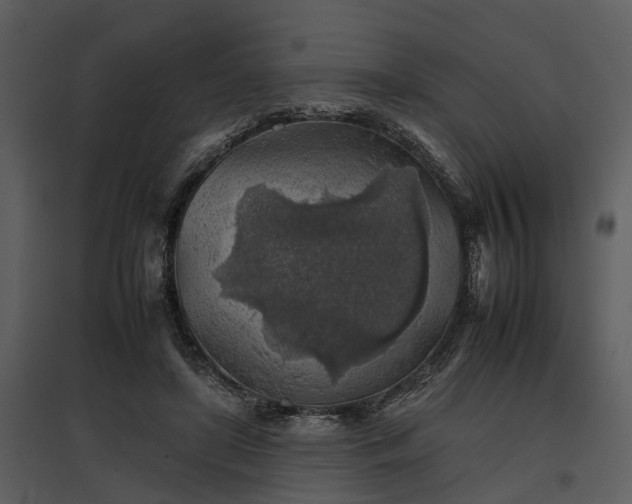 X0000095670451200801151107