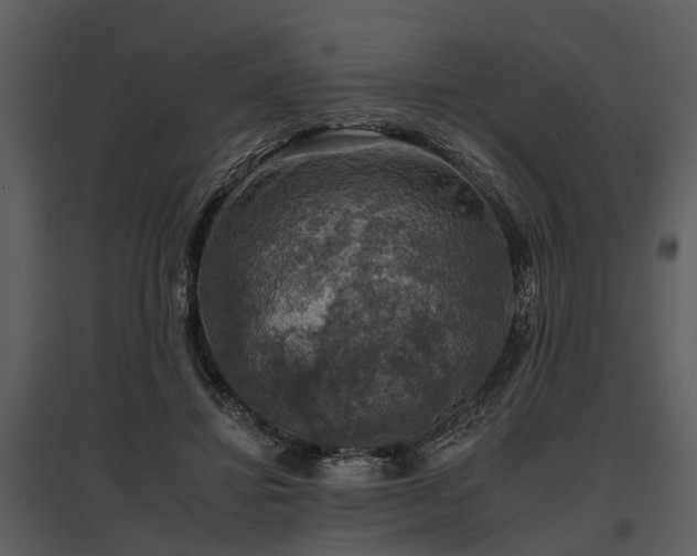 X0000095670452200801151107