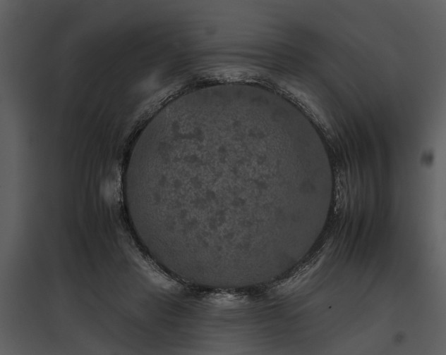 X0000095670453200801151108