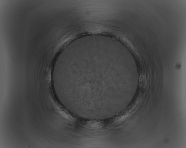 X0000095670454200801151108