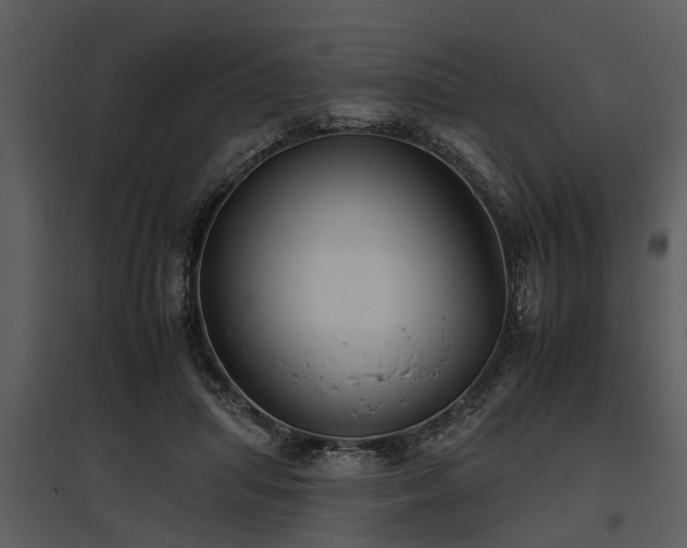 X0000095670455200801151108