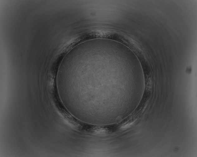 X0000095670456200801151108