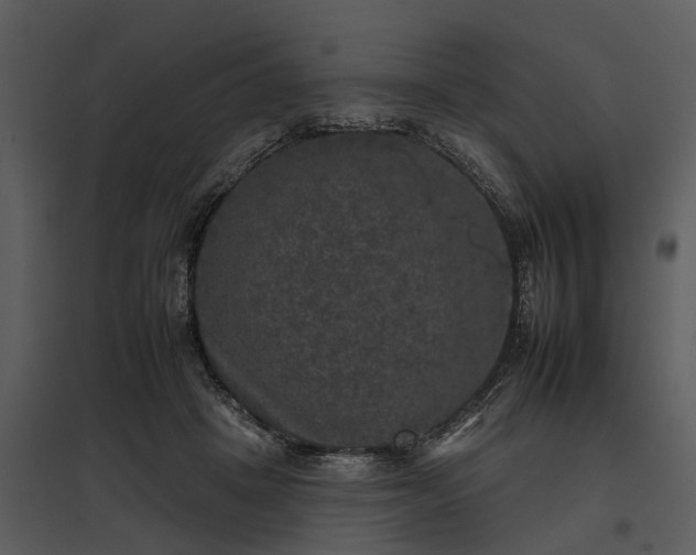 X0000095670457200801151108