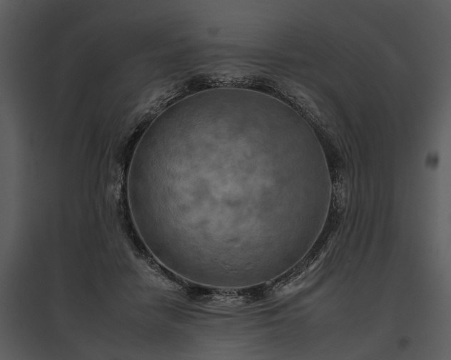 X0000095670458200801151108