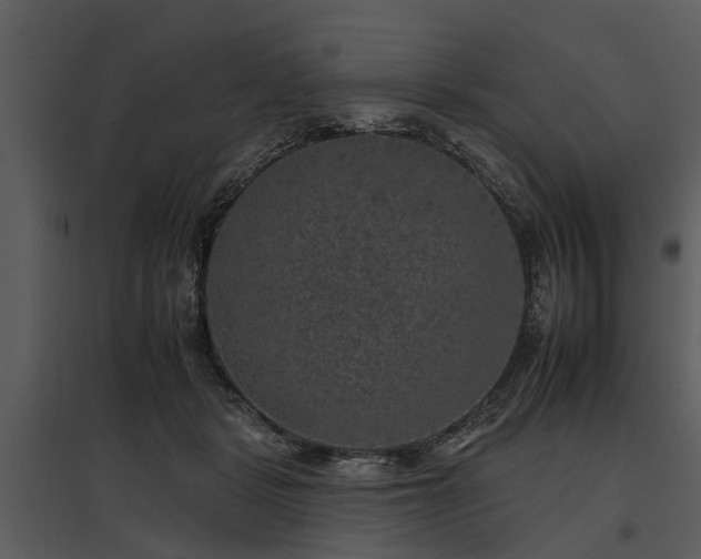 X0000095670461200801151108