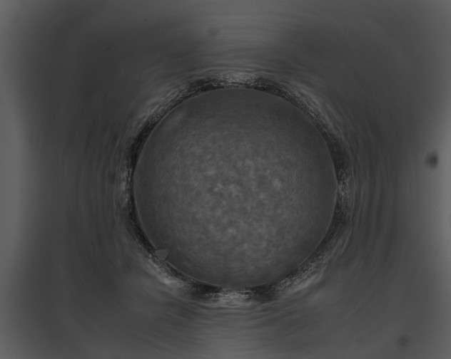 X0000095670462200801151108