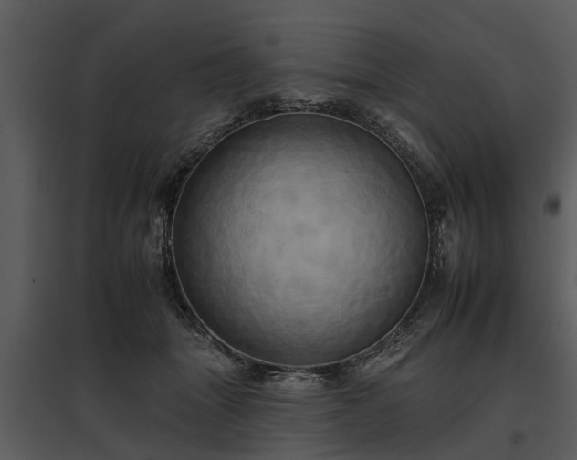 X0000095670463200801151108