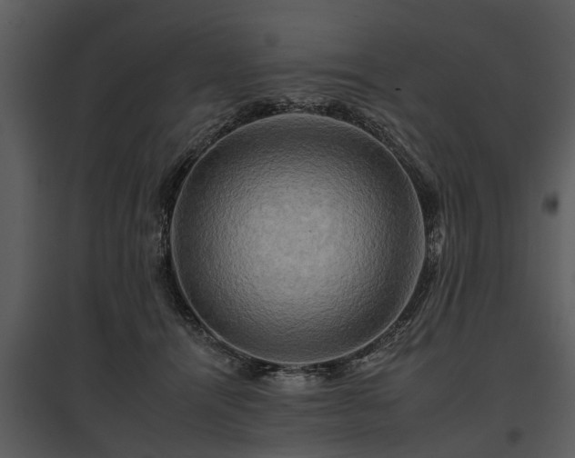 X0000095670464200801151108