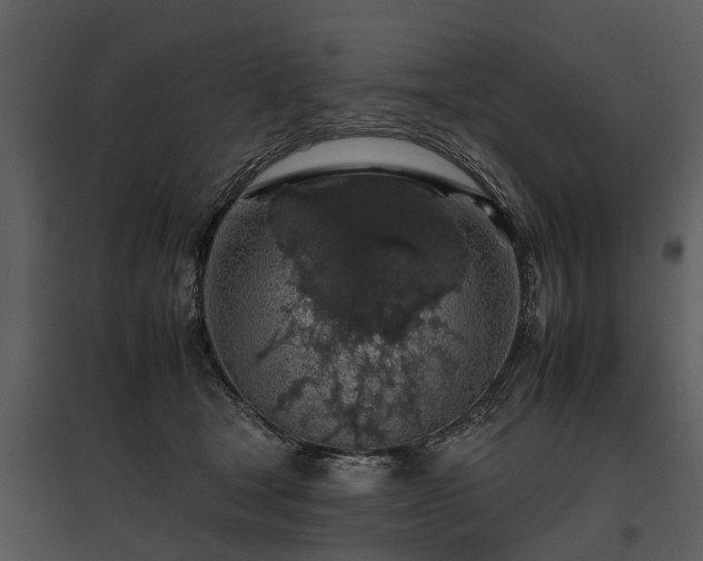 X0000095670465200801151108