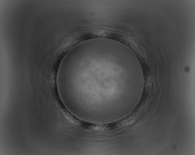 X0000095670466200801151108