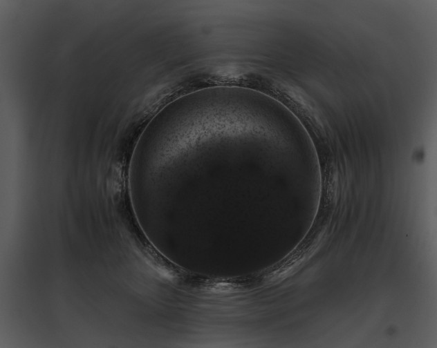 X0000095670467200801151108