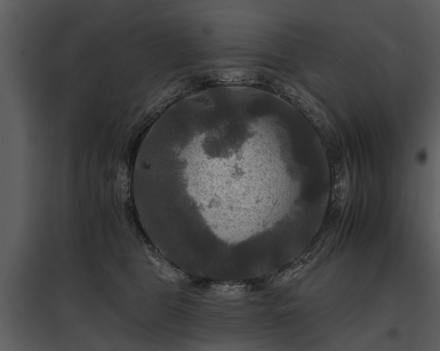 X0000095670469200801151108