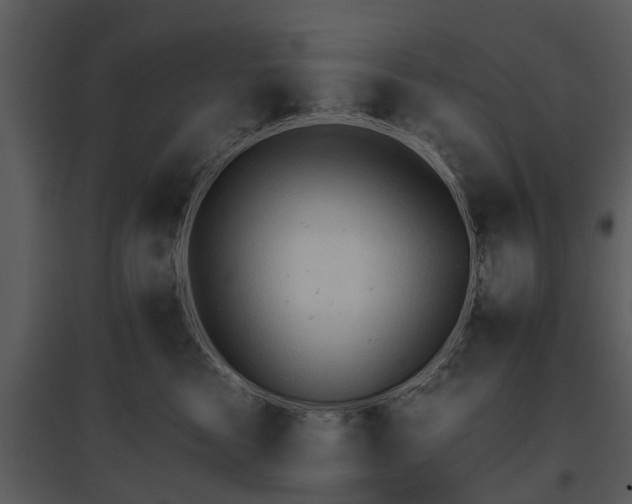 X0000095670473200801151108