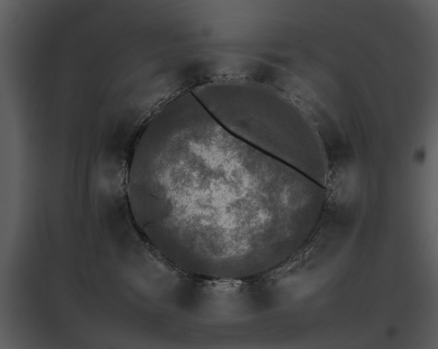 X0000095670474200801151108