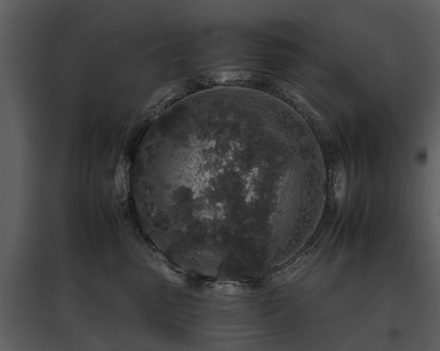 X0000095670475200801151108