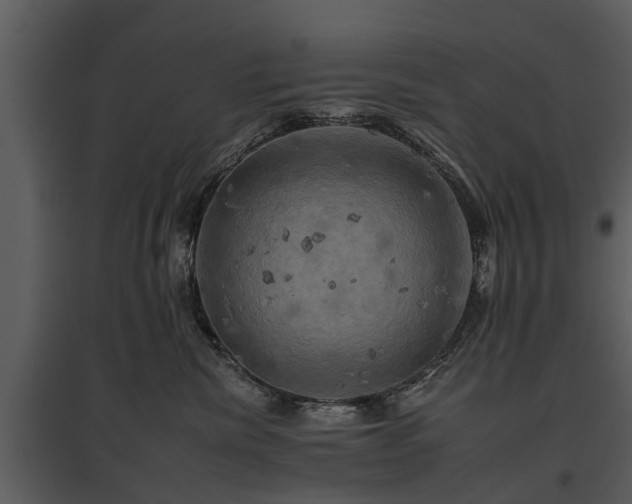 X0000095670476200801151108