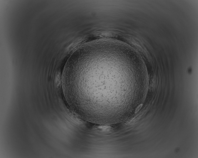 X0000095670478200801151108