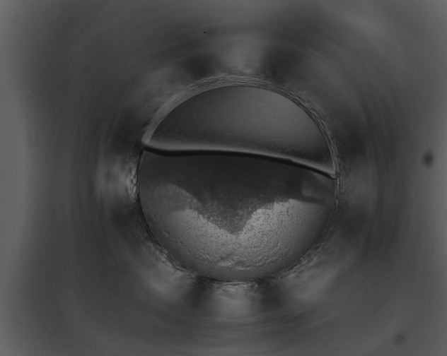 X0000095670479200801151108