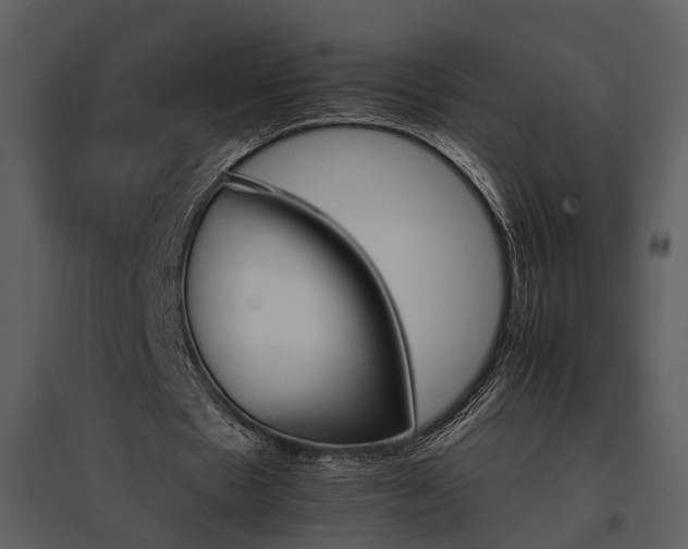 X0000095670481200801151107