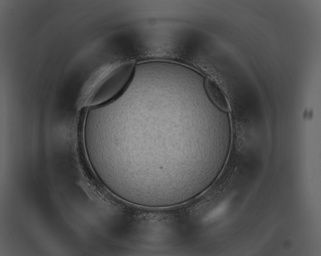 X0000095670482200801151107