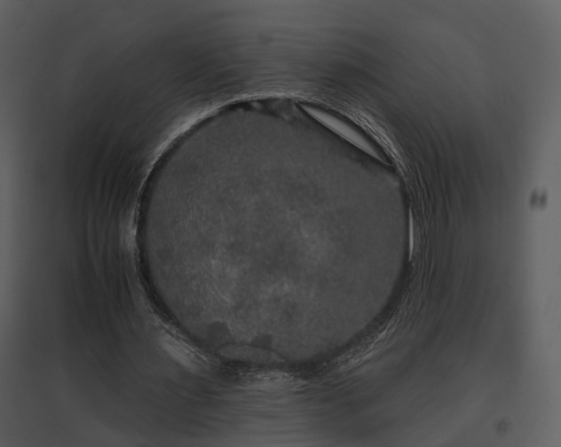 X0000095670483200801151107