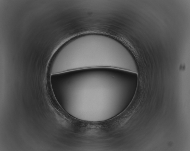 X0000095670484200801151107