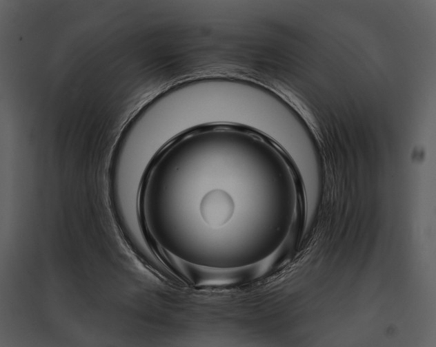 X0000095670485200801151107