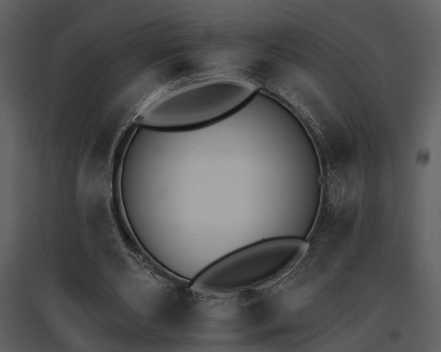 X0000095670486200801151107