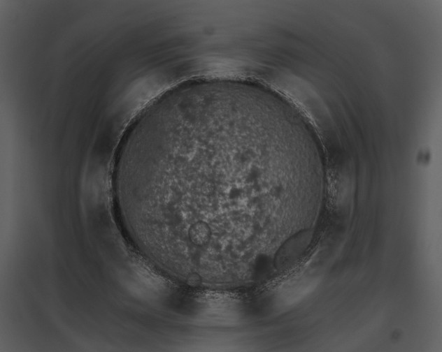 X0000095670487200801151107