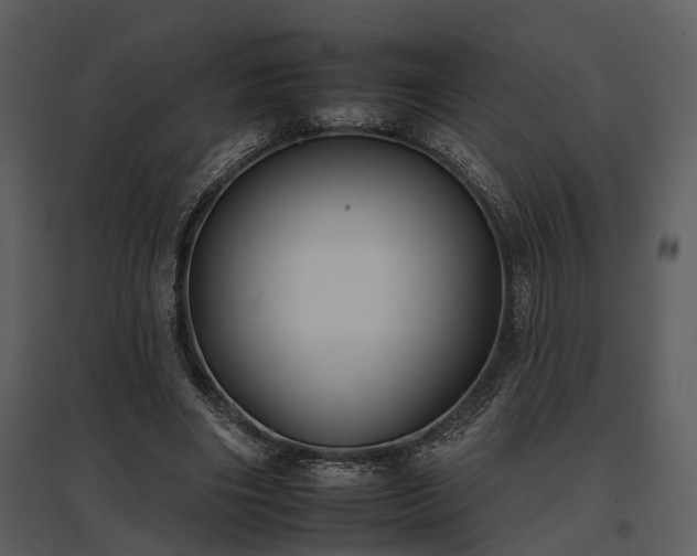 X0000095670490200801151107