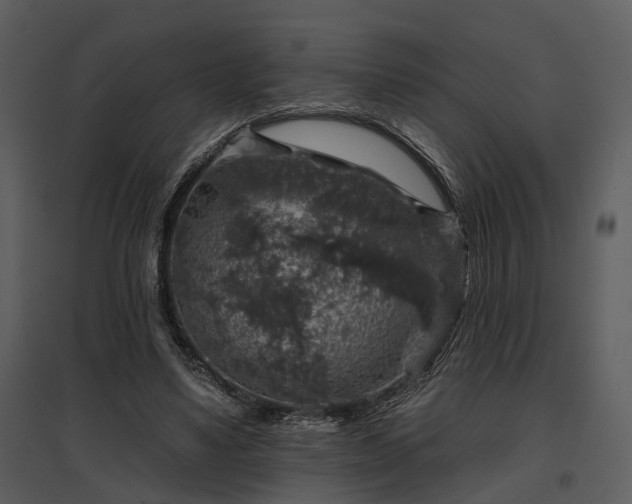 X0000095670491200801151107