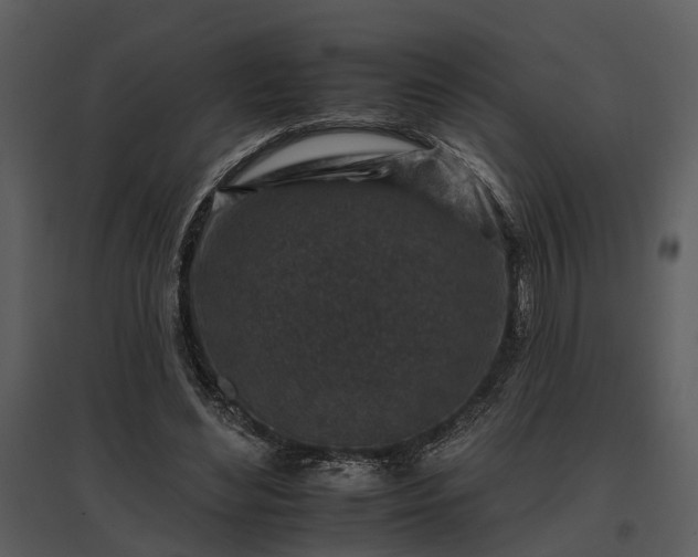 X0000095670492200801151107