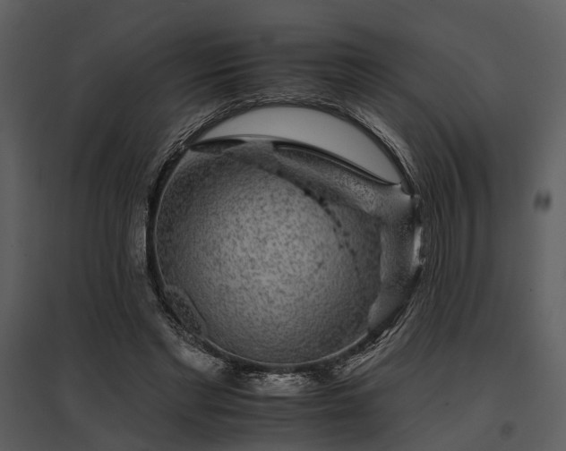 X0000095670493200801151107