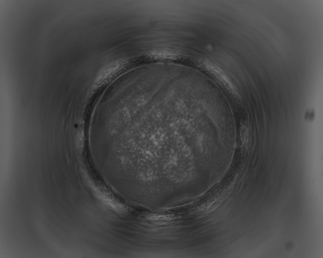 X0000095670494200801151107