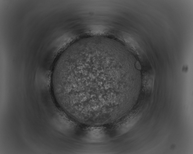 X0000095670495200801151107