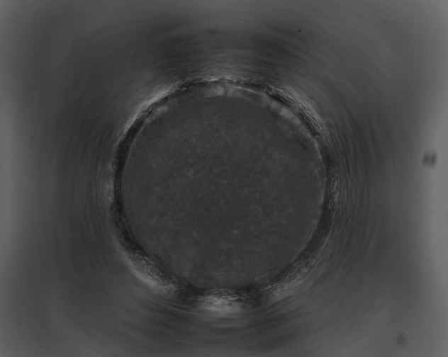 X0000095670496200801151107