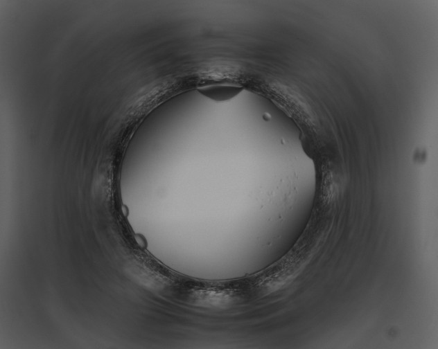 X0000095670498200801151107