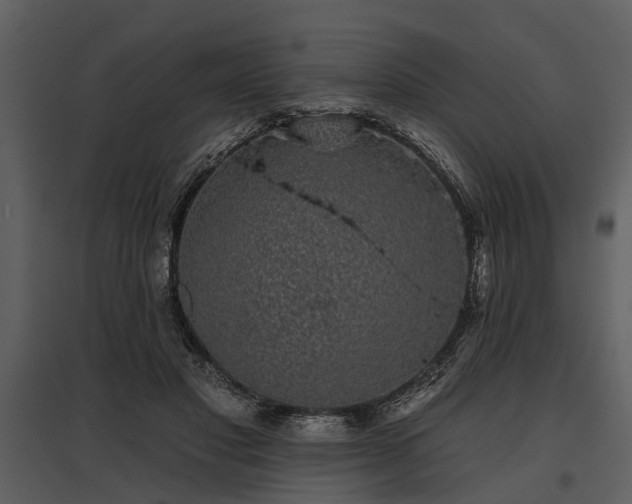 X0000095670501200801151107