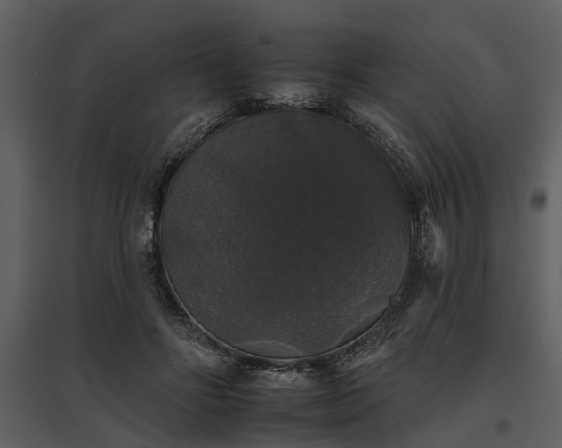 X0000095670502200801151107