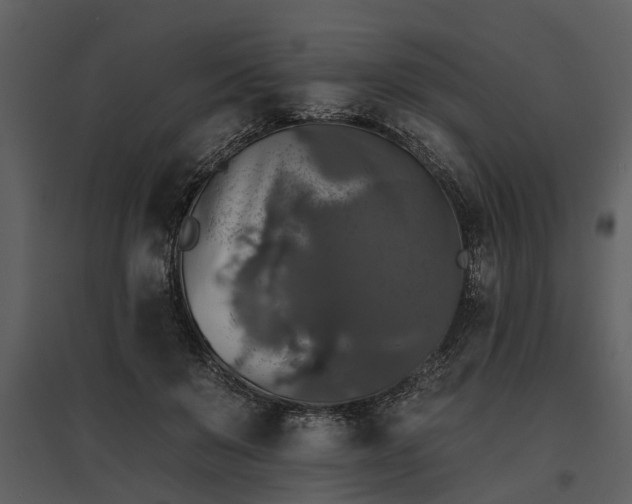 X0000095670503200801151107