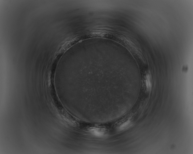 X0000095670504200801151107