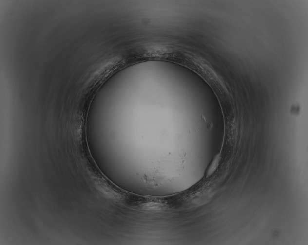 X0000095670505200801151107