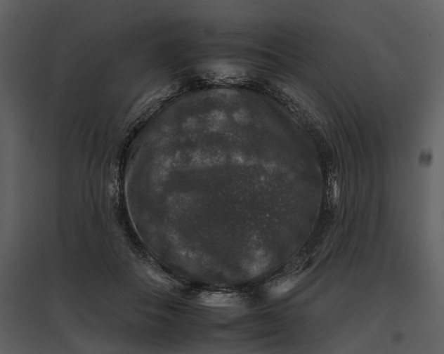 X0000095670506200801151107