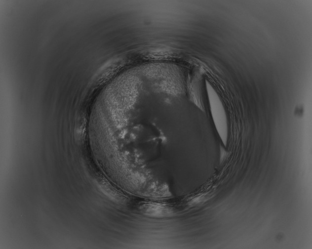 X0000095670507200801151107