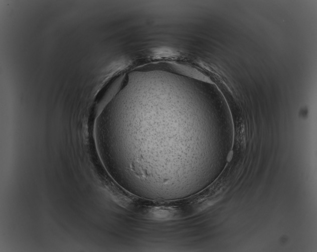 X0000095670508200801151107